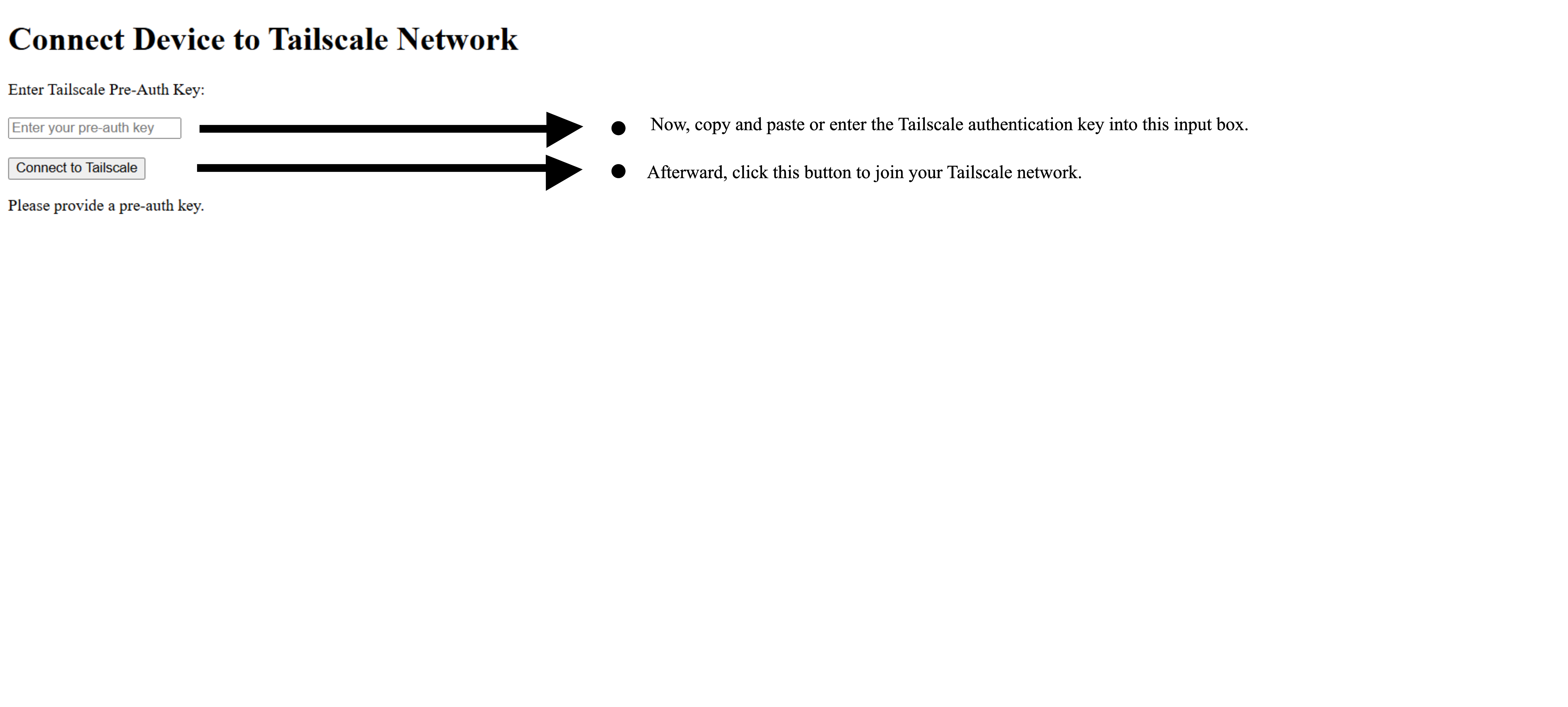 Tailscale authentication key input